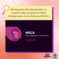 Bolsas de estudo para Pós-doutorado Marie Skłodowska-Curie Actions ...